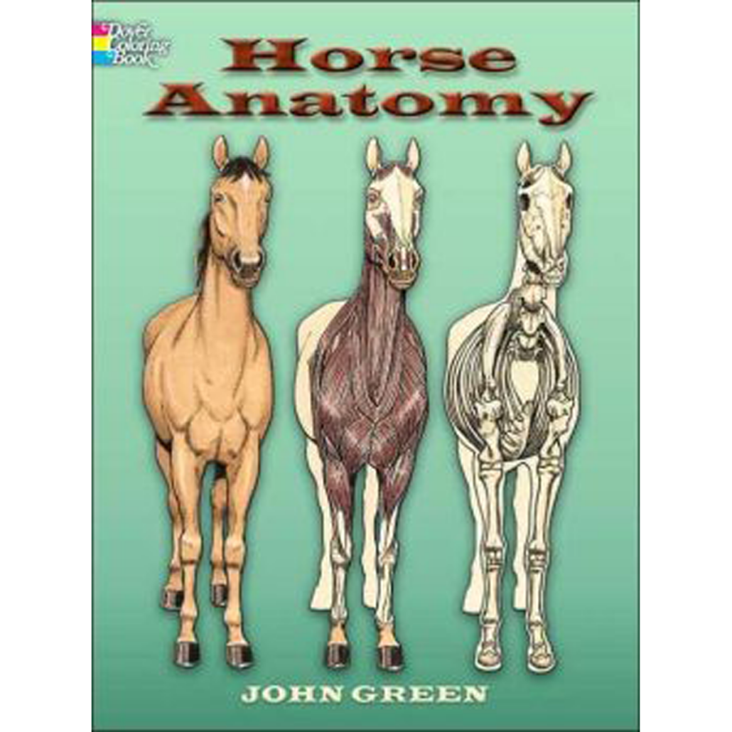 Horse Anatomy Coloring Book Print WinterPromise