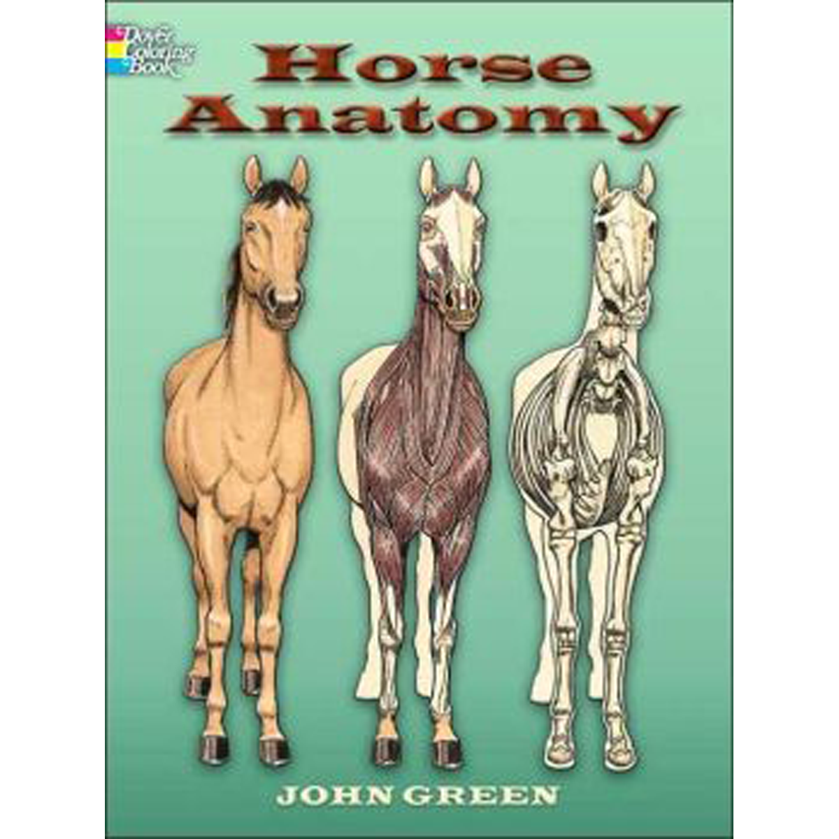 Horse Anatomy Coloring Book Print WinterPromise