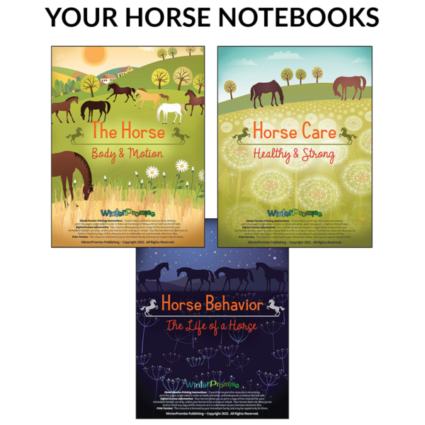 Equine Science Notebook Set - Print