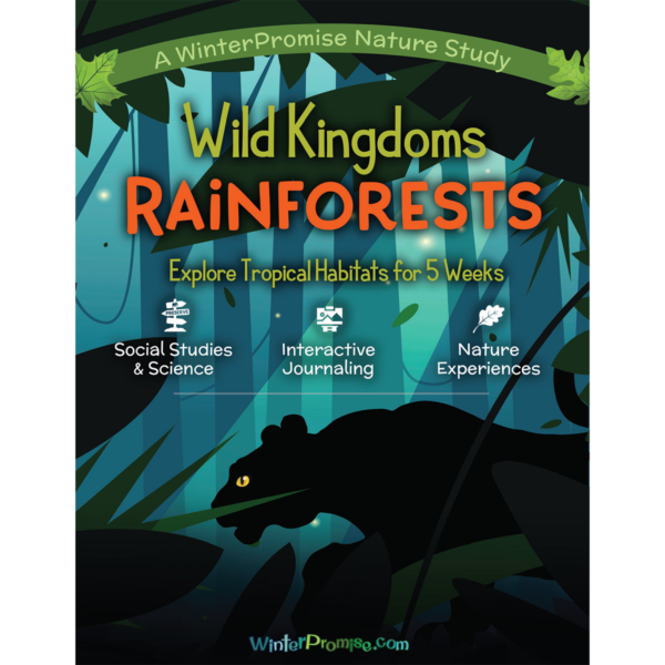 Wild Kingdoms: Rainforest PRINT
