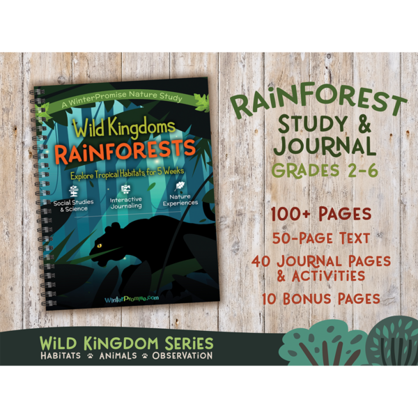 Wild Kingdoms: Rainforest PRINT