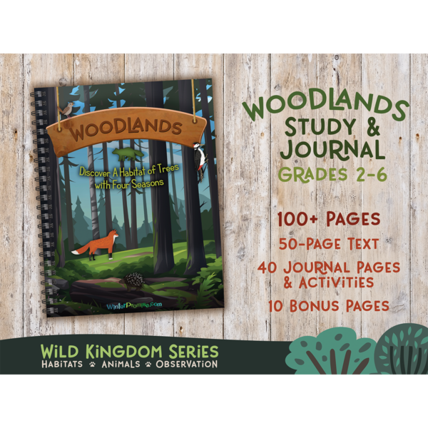 Wild Kingdoms: Woodlands PRINT