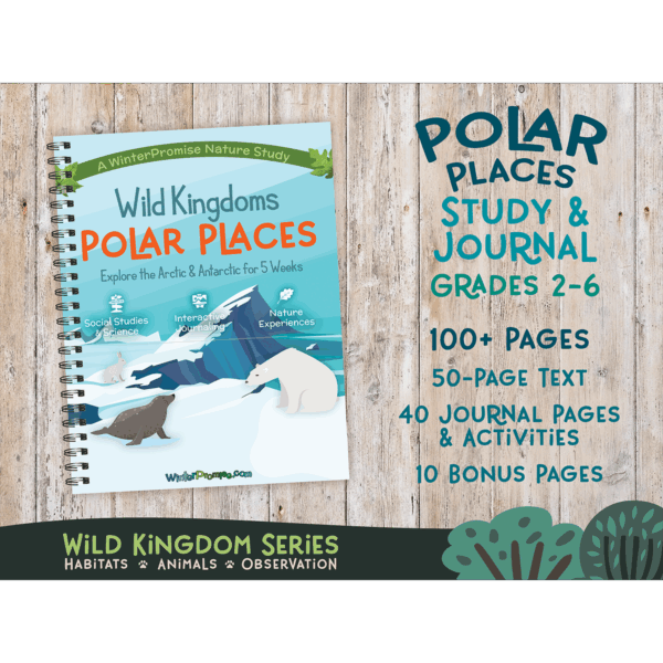 Wild Kingdoms: Polar Places PRINT