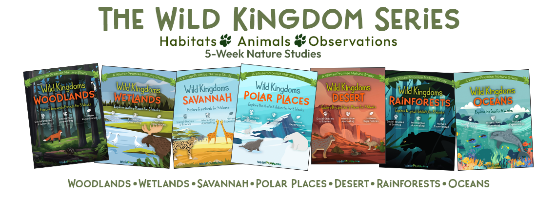 Wild_Kingdoms_7_Covers_v3